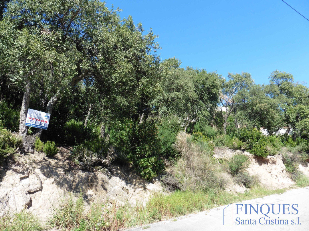 Santa Cristina d'Aro, Terreny amb bones vistes